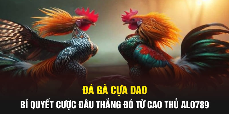 da-ga-cua-dao-bi-quyet-cuoc-dau-thang-do-tu-cao-thu-alo789